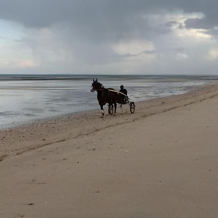 Gites " Arromanches" Ou "Bord De Mer Pmr" 2 Chambres En Front De Mer A Asnelles , 3Km D'Arromanches, 10Km De Bayeux 外观 照片