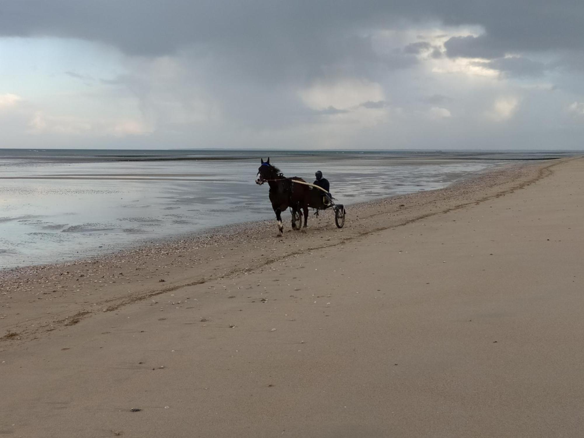 Gites " Arromanches" Ou "Bord De Mer Pmr" 2 Chambres En Front De Mer A Asnelles , 3Km D'Arromanches, 10Km De Bayeux 外观 照片
